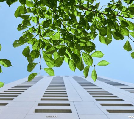 Prominus Amsterdam beheer vastgoed vastgoedbeheer Nederland technisch beheer administratief beheer commercieel beheer esg